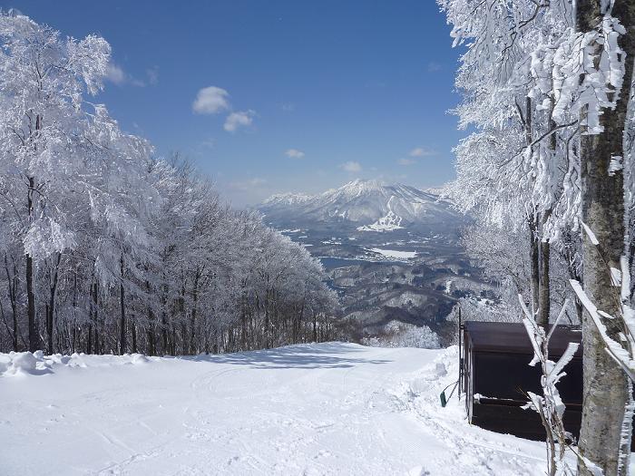 family ski japan madarao ski resort
