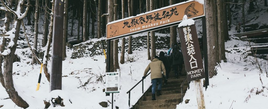 family ski japan. things to do. japan snow monkey park entrance